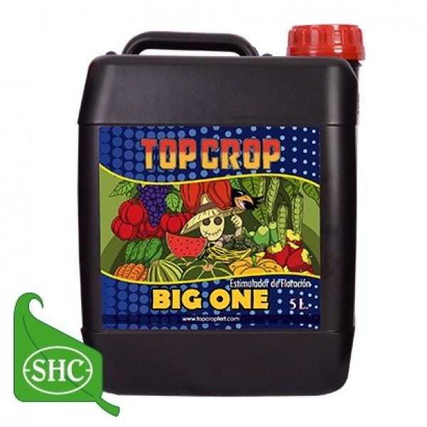 Big One de Topcrop