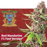 red mandarine f1