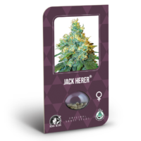 sensi seeds jack herer