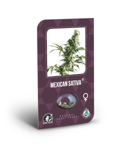 mexican sativa sensi seeds