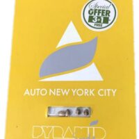 pyramid seeds auto new york city