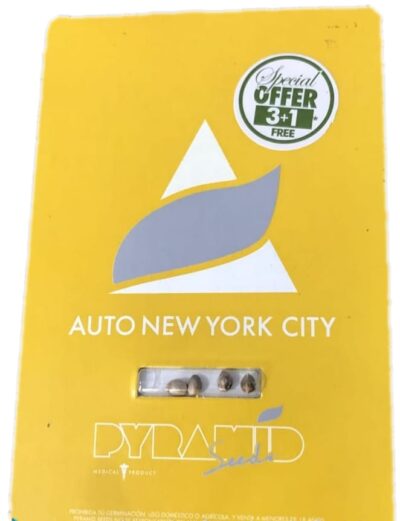 pyramid seeds auto new york city