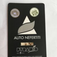 auto nefertiti