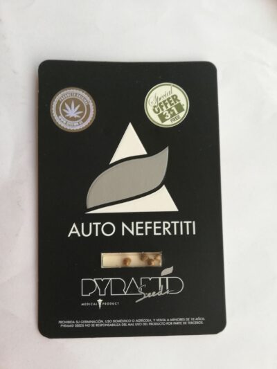 auto nefertiti