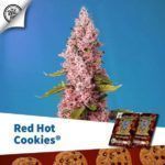 red hot cookies