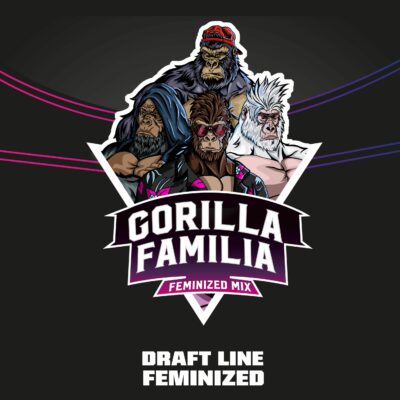gorilla familia