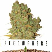 Seedmakers