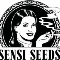 Sensi Seeds Auto