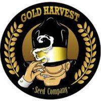 Gold Harvest Auto