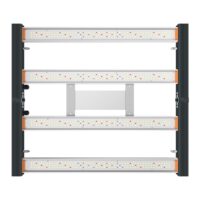 Panel Led Indoor 80x80