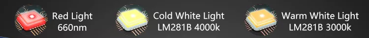 lm281b