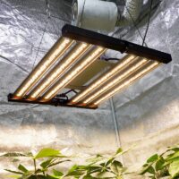 LED Cultivo Indoor