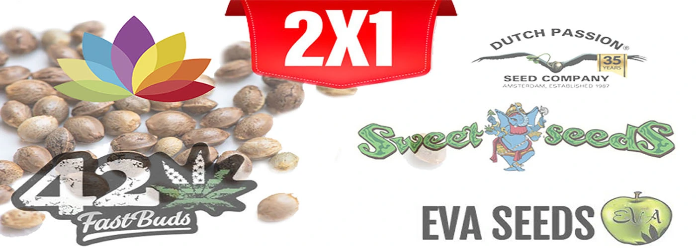 promociones en semillas