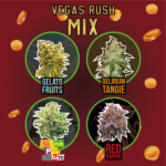 mix-vegas-rush