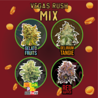 mix-vegas-rush