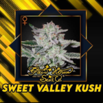 sweet valley kush