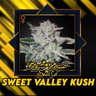 sweet valley kush