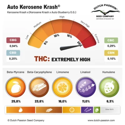 semillas altas en thc