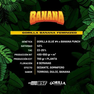 gorilla banana de BSF