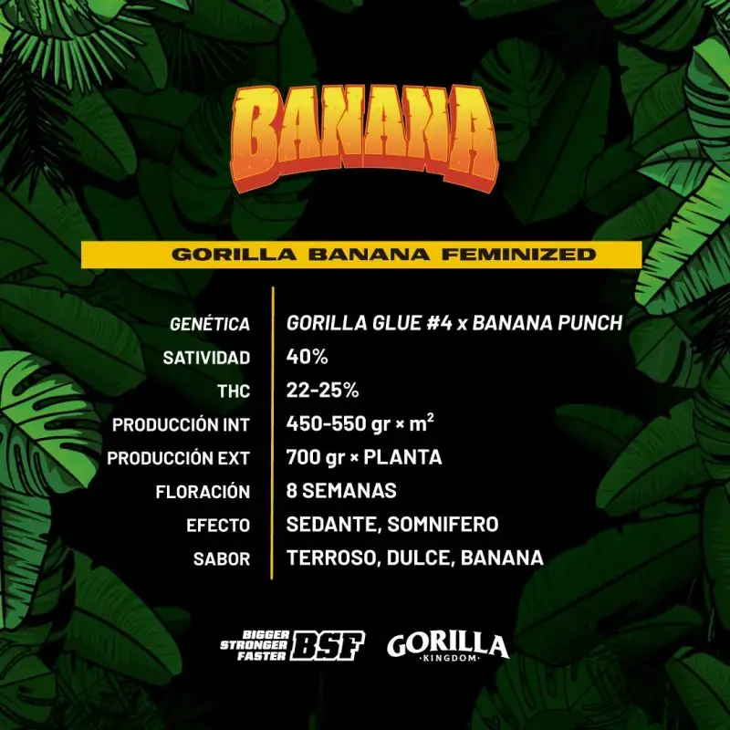 gorilla banana de BSF