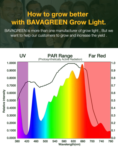 PPFD Bavagreen 240w