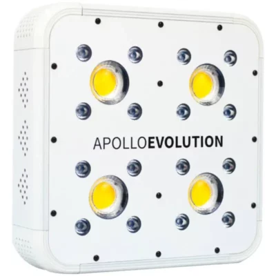 apollo evolution 60x60