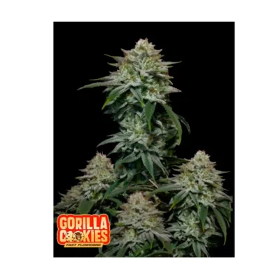 gorilla cookies ff