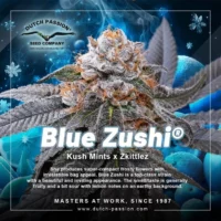 blue zushi