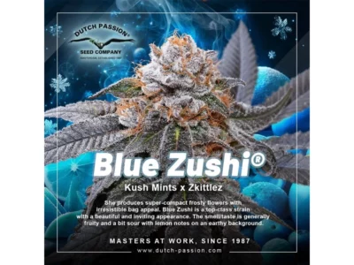 blue zushi