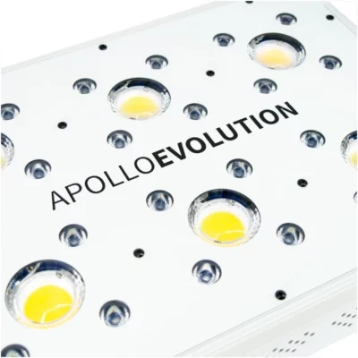 Apollo Evolution 6 180w Delight - Imagen 2
