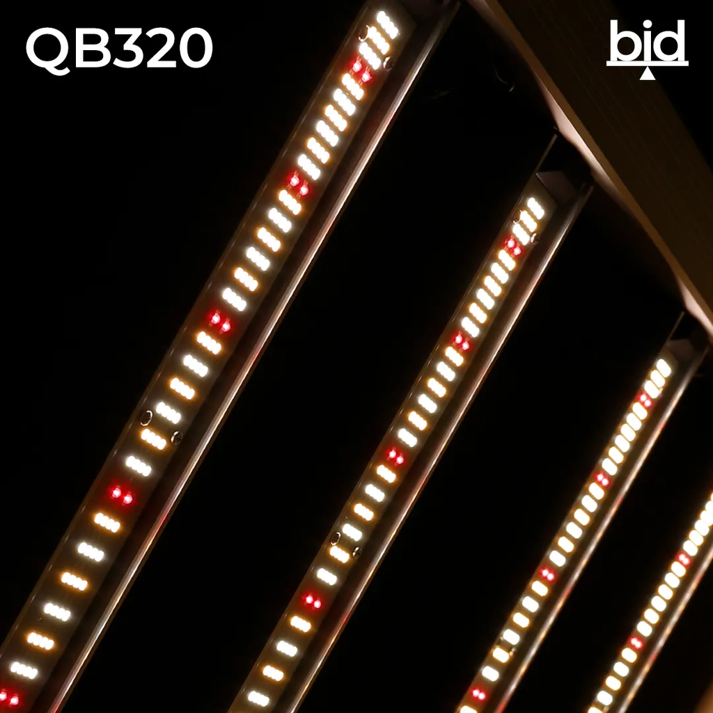 Quantum Board 320w Agrolite - Imagen 2