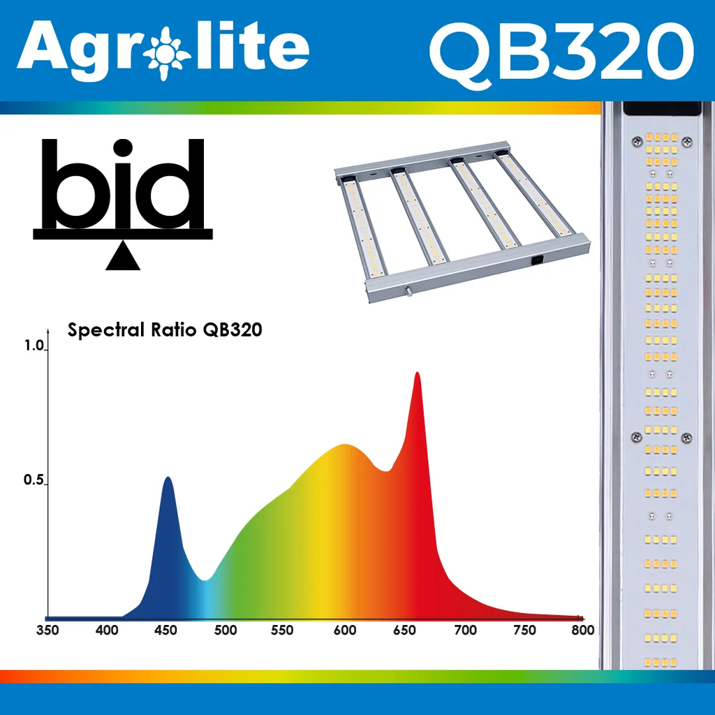 Quantum Board 320w Agrolite - Imagen 3