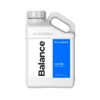 Athena Balance 3,75 L