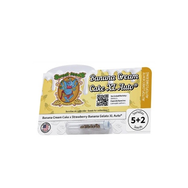 Banana Cream Cake XL Auto Sweet Seeds 2x1 - Imagen 2